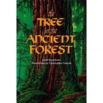 The Tree in the Ancient Forest