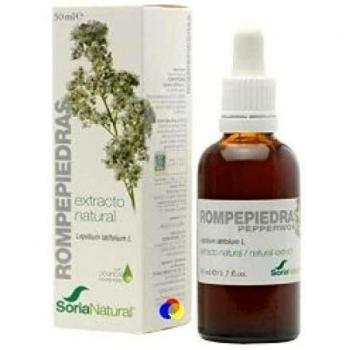 Soria Natural Extrato de Quebra-Pedra do SÃ©culo XXI 50 ml