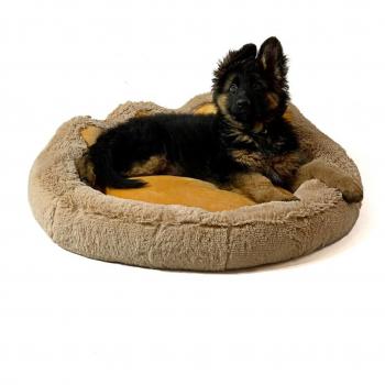 Letto per Animali Zampa di Cammello XL 75x75 cm