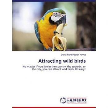 Padrón Novoa, D: Attracting wild birds