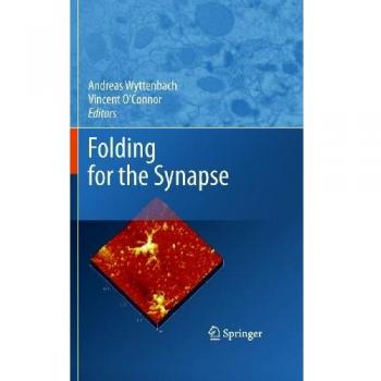 Folding for the Synapse