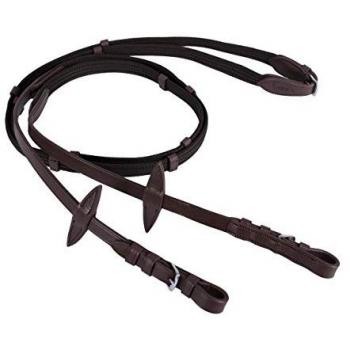 Horse Reins QHP Web Canvas