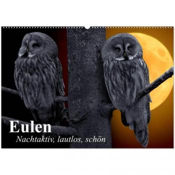 Eulen. Nachtaktiv lautlos schön (Wandkalender 2025 DIN A2 quer) CALVENDO Monatskalender