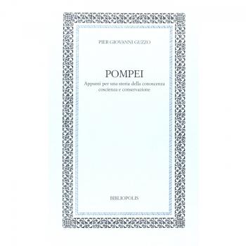 Pompei appunti per una storia della conoscenza coscienza e conservazione