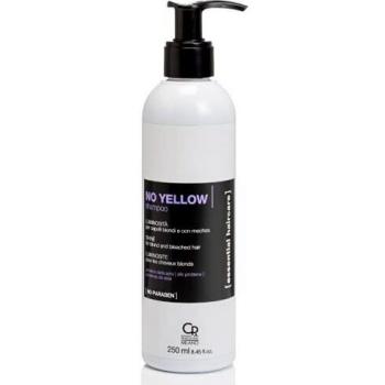 Masseggiatore Capelli Luminosi 250 ml