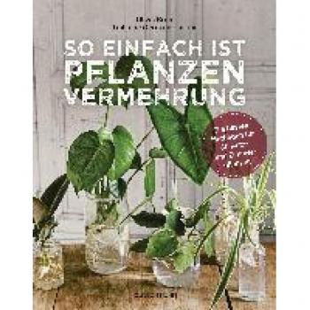 So einfach ist Pflanzenvermehrung. Die besten Methoden für 60 Nutz