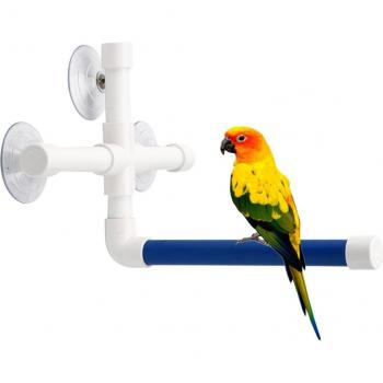 Practical Suction Cup Bird Perch