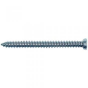 32932 Fensterrahmenschraube FFS 7,5 x 112 T30 Flachkopf