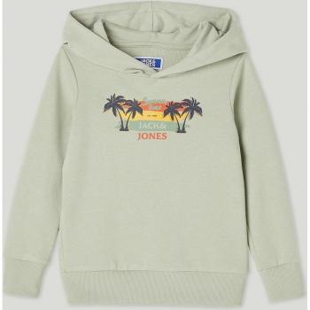 Sudadera Jack&Jones JJSUMMER Junior Verde para Niños