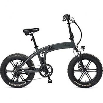 Bicicletta elettrica pieghevole Orso ITA99