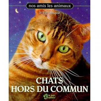 CHATS HORS DU COMMUN