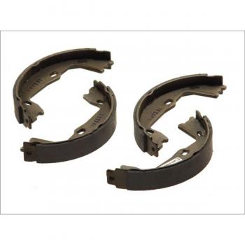Delphi Remschoenen Set LS1381