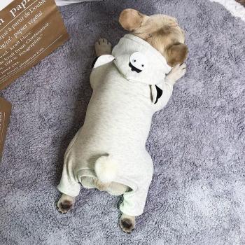 Abrigo Cuddles Bichon Pomeranian