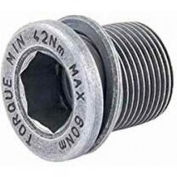 Tornillo de Eje Ultra Torque Campagnolo