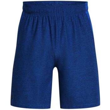 Shorts UA 1376955 Azul Ventilado