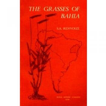 The Grasses of Bahia