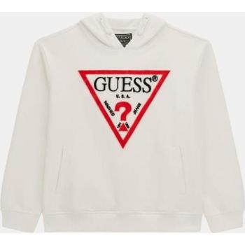 Guess Youth Triangle Hoodie