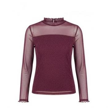 Burgundy Shine Mesh Crop Top