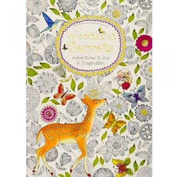 Woodland Secrets (Colouring Book): Adventures In Ink And Imagination: Adventures In Ink & Imagination (Hobbies And Craft)