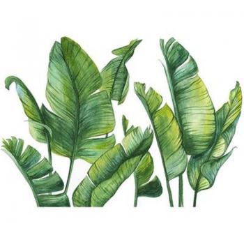Pared Viva: Plantas Nórdicas en Hoja de Palma