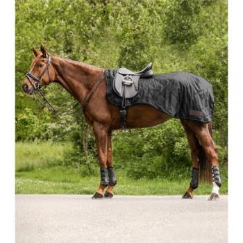 Waldhausen Exclusive Black Waterproof Hindquarters Sheet