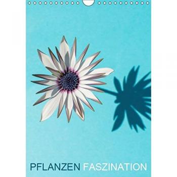 Pflanzen Faszination