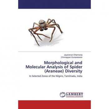 Morphological and Molecular Analysis of Spider (Araneae) Diversity