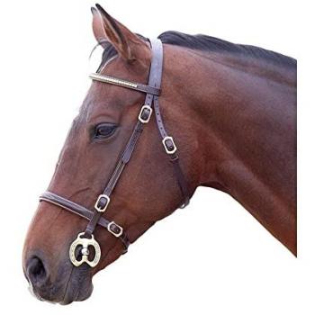 Velociti Havana GARA Clincher Bridle (Pony)
