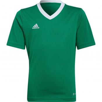 Maglietta Sportiva Adidas Entrada 22 (140) – Verde