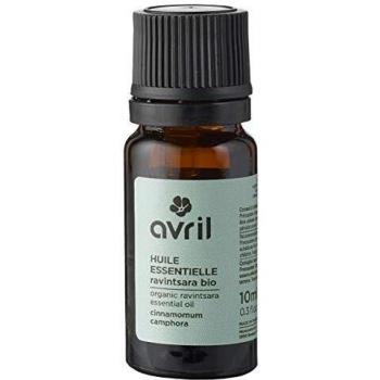 3 x Óleo Essencial de Canforeira 10 ml