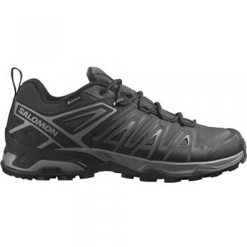 Salomon X Ultra Pioneer GTX