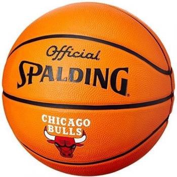 Spalding Pro Series Joakim Noah Court Ball