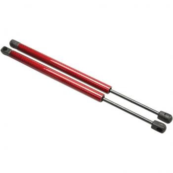 Nissan 370Z (Z34) Coupe Rear Wing Gas Struts