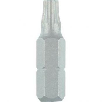 Rs Pro Torx TX10 Sicherheits-Schraubendreher-Bit