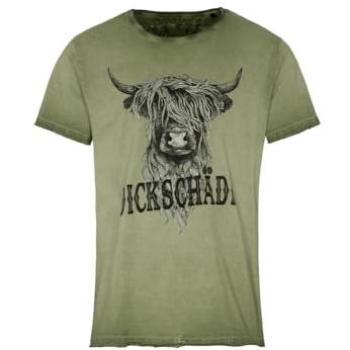 Herren Trachtenshirt QANI MEN in Oliv, XXXL