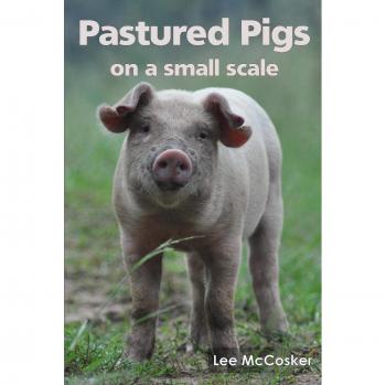 Pastured Pigs on a Small Scale