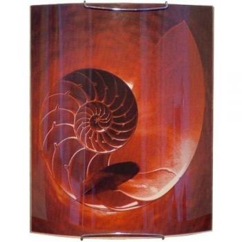 NAUTILUS Wandleuchte (DEKOLINE) – 39 × 32 cm, Hersteller: RIDIhomelight