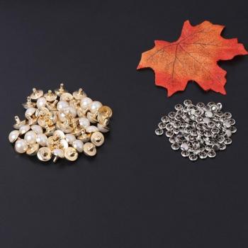 Perles 100× – Décoration Cuir, Sac, Chaussures, Artisanat