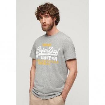 Superdry Print-Shirt SD-VL DUO TEE Mit Cracked Print