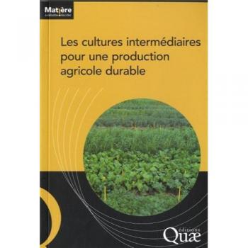 Les cultures intermédiaires pour une production agricole durable