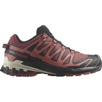 Salomon Sneakers Xa Pro 3D V9 GORE-TEX L47270900 Rot 36_23 female