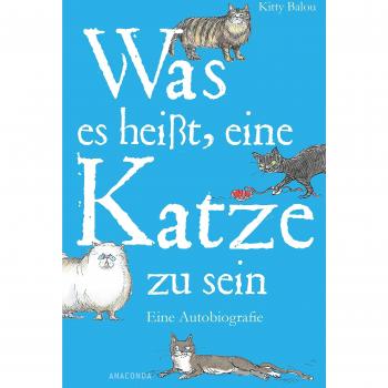 Was es heißt, eine Katze zu sein