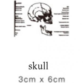 DIY Dekorationskiste Skelett