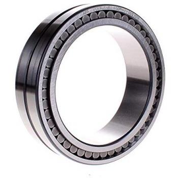 Rullo Cylindrico 110x150x40 – Cuscinetto INA per 2500 RPM