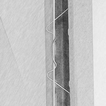 Stainless Steel W-Shaped Garden Nails