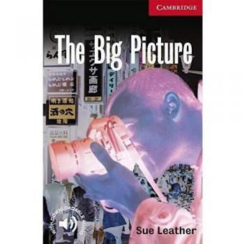 The Big Picture Level 1