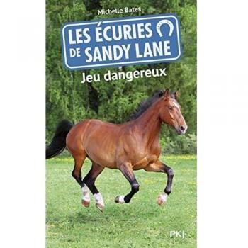 6. Les écuries de Sandy Lane : Jeu dangereux