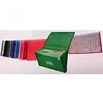 Carpeta organizadora 12 divisiones color surtido