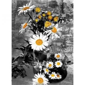 Mosaïque de Diamants 5D Fleurs de Marguerite Broderie DIY 20x30cm