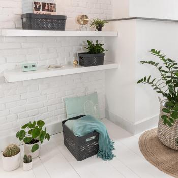 GreenCurve 17L Storage Container